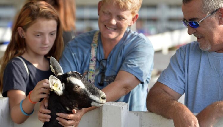 Kenosha County Fair is a go for this summer, with special 100th anniversary celebration events planned | Local News
