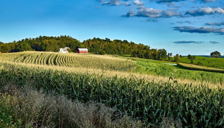 Wisconsin farm cornfield and landscape -- Image by David Mark free use from Pixabay