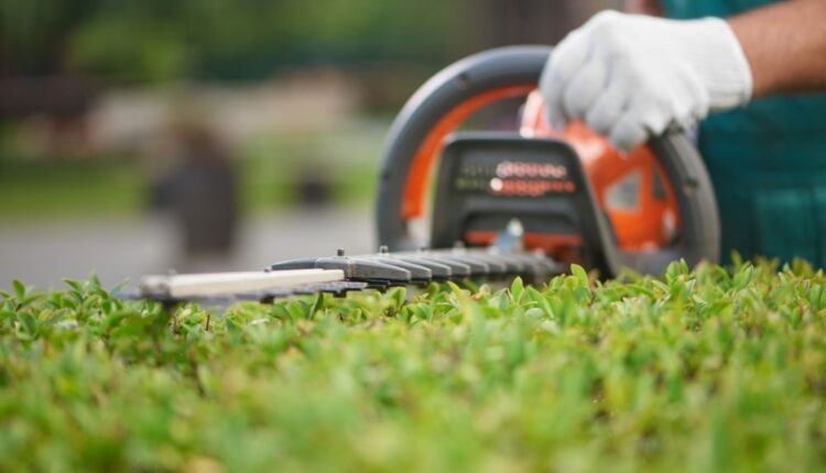   Danger Awareness: Frequent Work Accidents in Landscaping |  Local News I Racine County Eye


