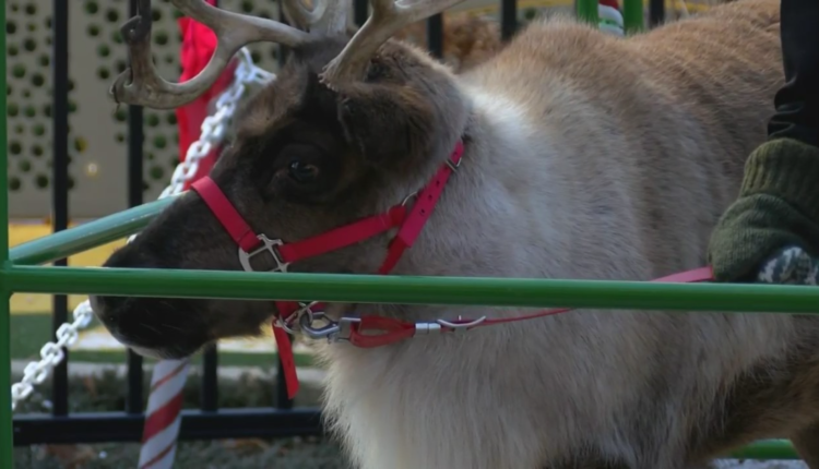 Titletown starts the Christmas season with the Winter Jubilee Warm Up

