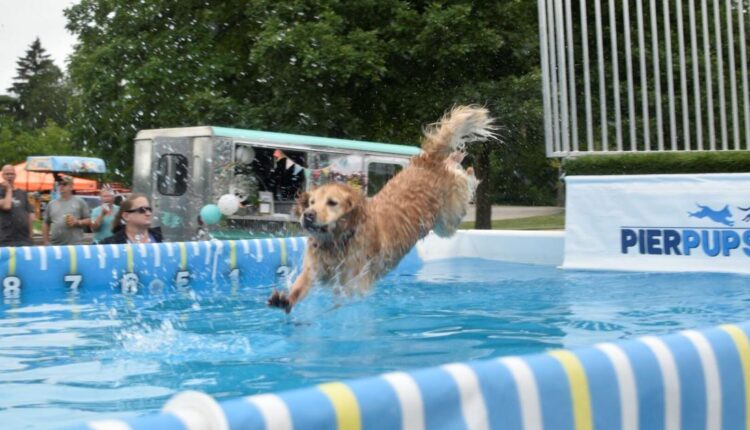Large crowd gathers for Pups and Pints at Petrifying Springs Park |