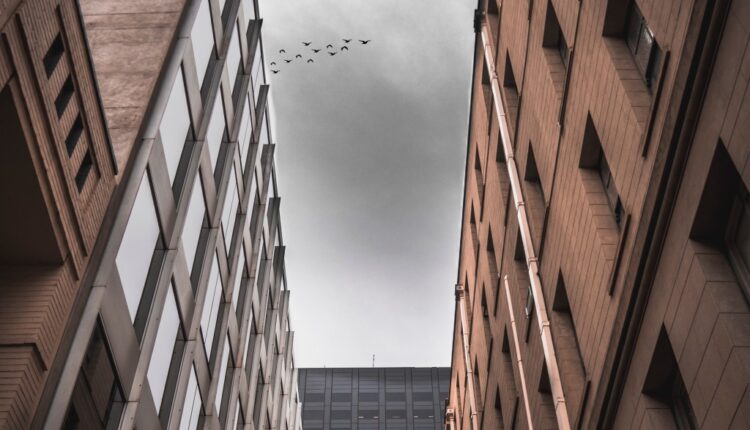 Judge Sides with Madison Bird-Safe Glass Ordinance