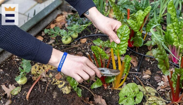  USDA Awards $1.3 million in grants to Wisconsin |  WFRV Local 5
