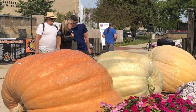 Giant Pumpkin contest, free small pumpkins for kids at City’s Fall Festival Sept. 10 | News