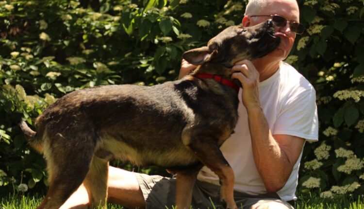 Dog festival in Racine Saturday will be a good time for a good cause | Local News
