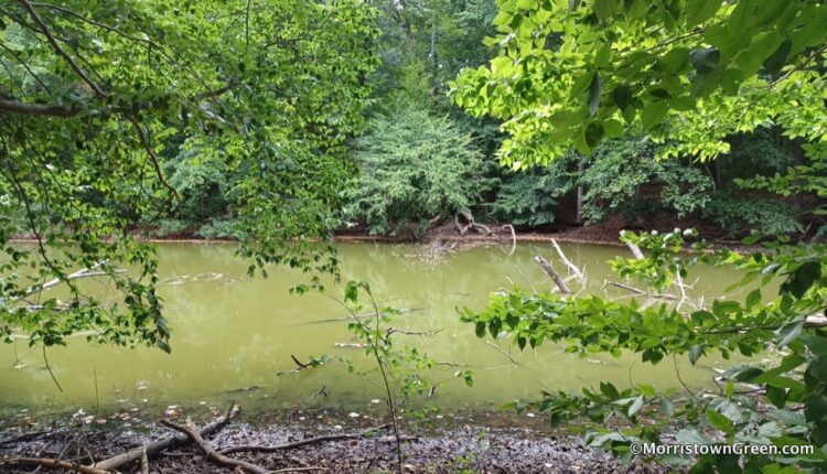 Judge says Madison must consider Drew Forest for affordable housing