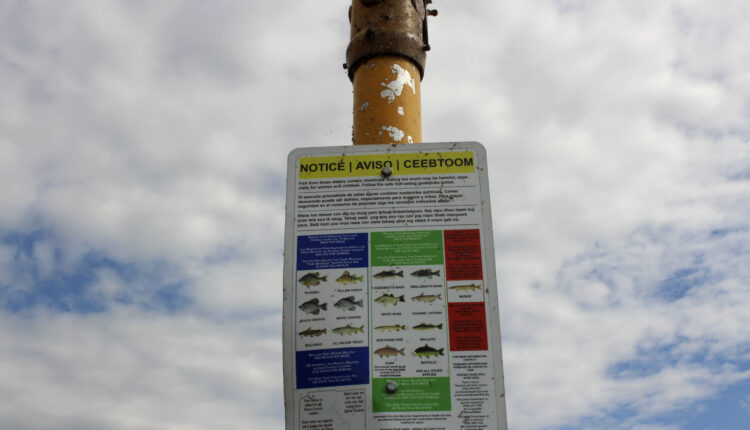 StarkweatherCreek_84-scaled.jpg