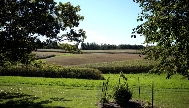 Ahead of razor thin elections, are Democrats overlooking rural Wisconsin?