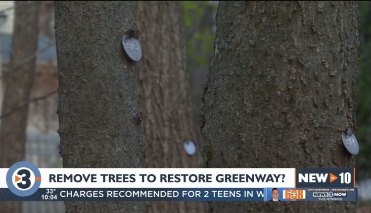 Madison residents, engineering dept. grappling over removing trees to restore Sauk Creek Greenway