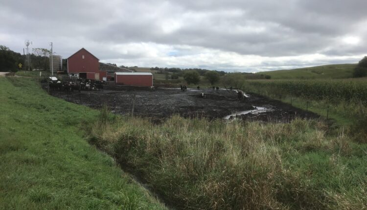Farm under county scrutiny for runoff involved in state program for reducing pollution