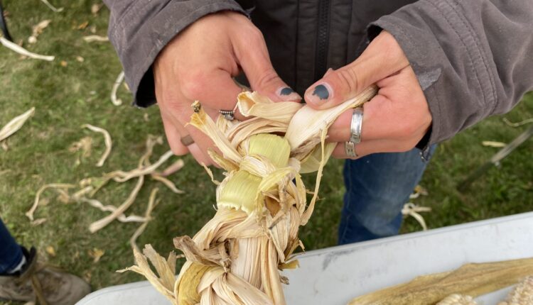 Honoring our food – and those who grow it – this holiday season 