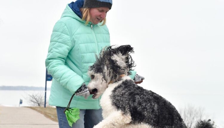 The top 25 most common dog names, and 10 most common breeds, in Racine County
