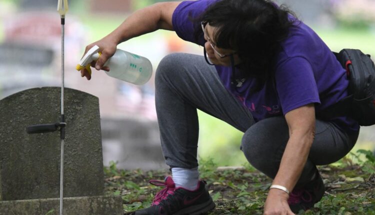 Catholic cemeteries set plans, dates to begin spring cleanup