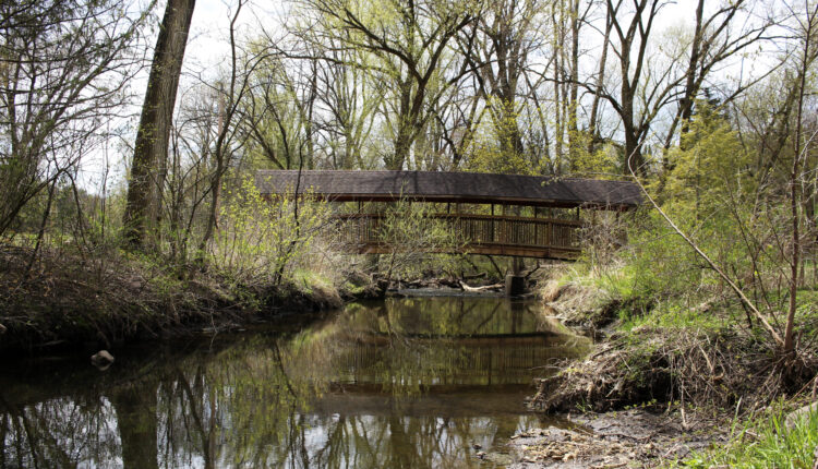 Competing conservation goals spark fight over the future of a creek and the Madison sewer district