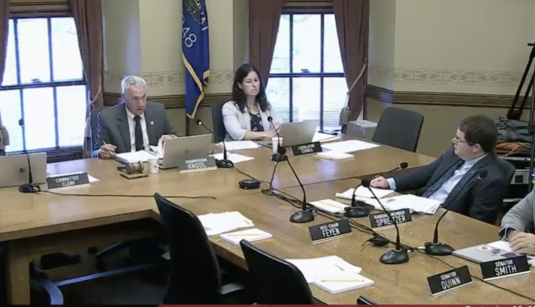 Senate elections committee pointedly excludes state elections commission from hearing
