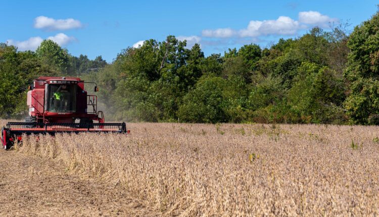 The farm bill is on the verge of expiring. Congress is months away from a new version.