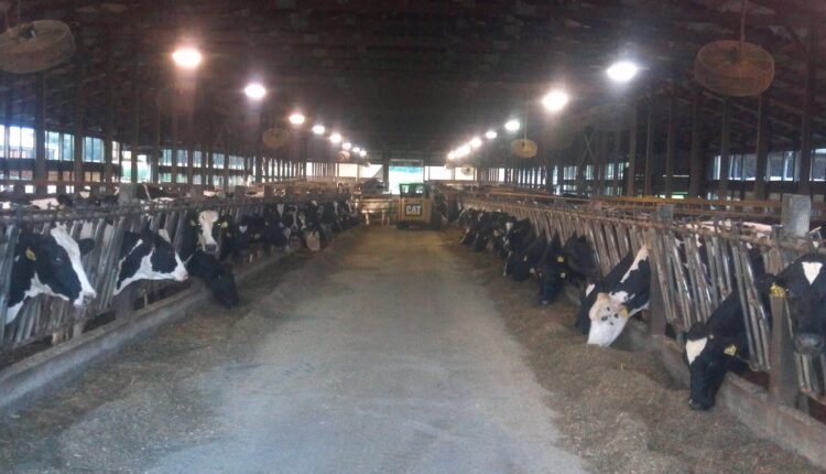 2013_WIDairyCAFO.jpg