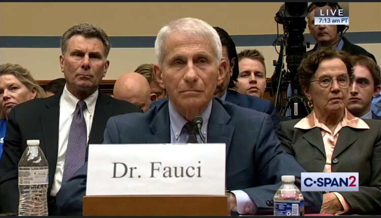 A still from a video showing Anthony Fauci sitting at a table before a House of Representatives committee.